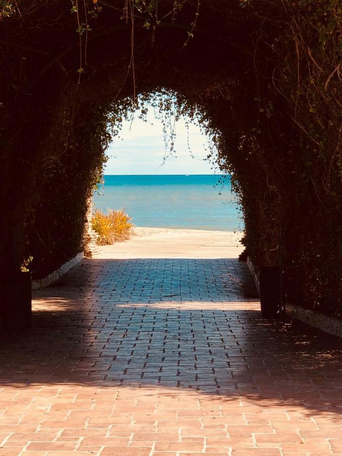 Las Terrazas - Primera Linea De Playa Con Netflix, Disney, Movistar Con Todo El Futbol, Series, Cine Y Prime Video Oropesa del Mar Extérieur photo